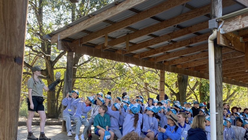 追手門学院小学校